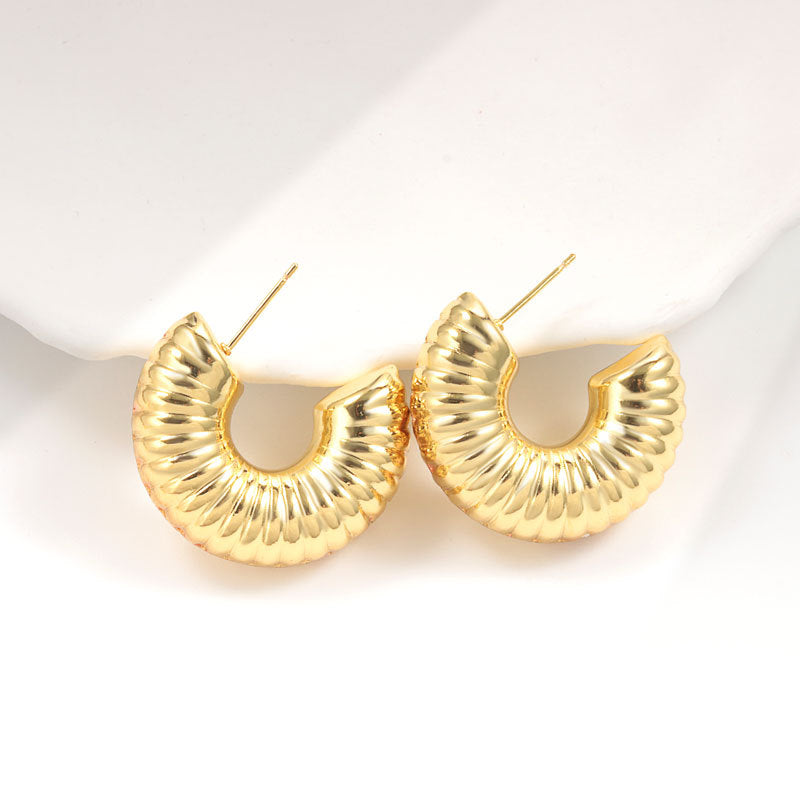 Geometric Metal Niche Design Frosty Style High Stud Earrings