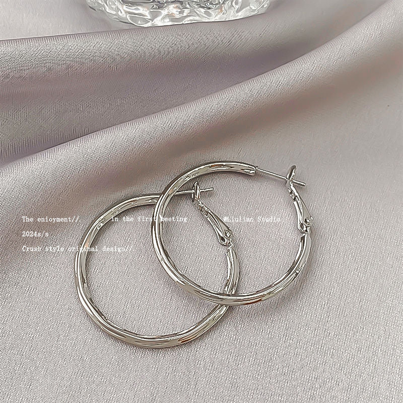 Temperament Niche Ear Jewelry Light Luxury Earrings