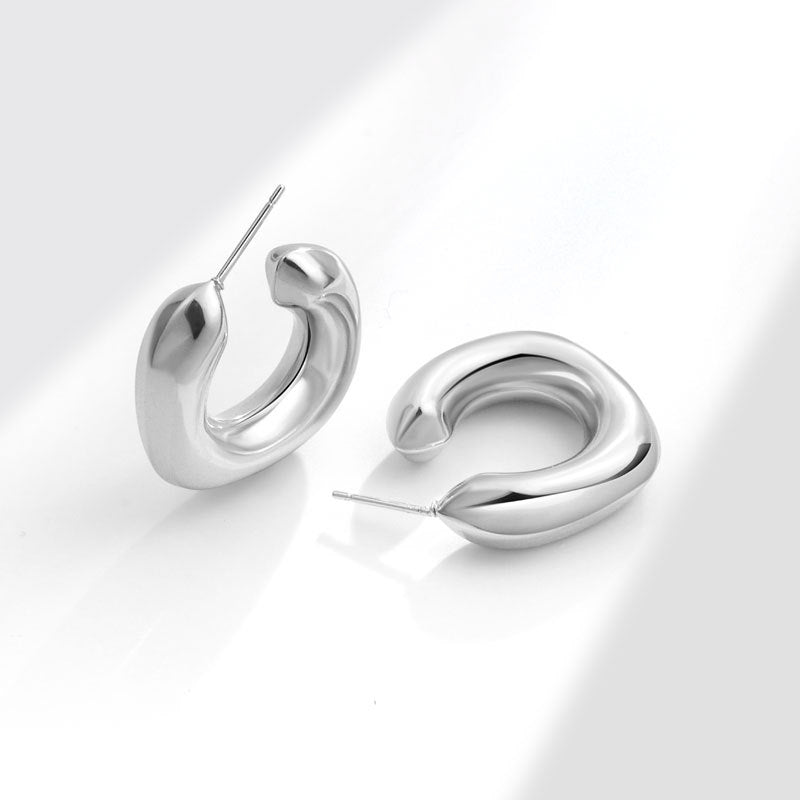 Geometric Metal Niche Design Frosty Style High Stud Earrings