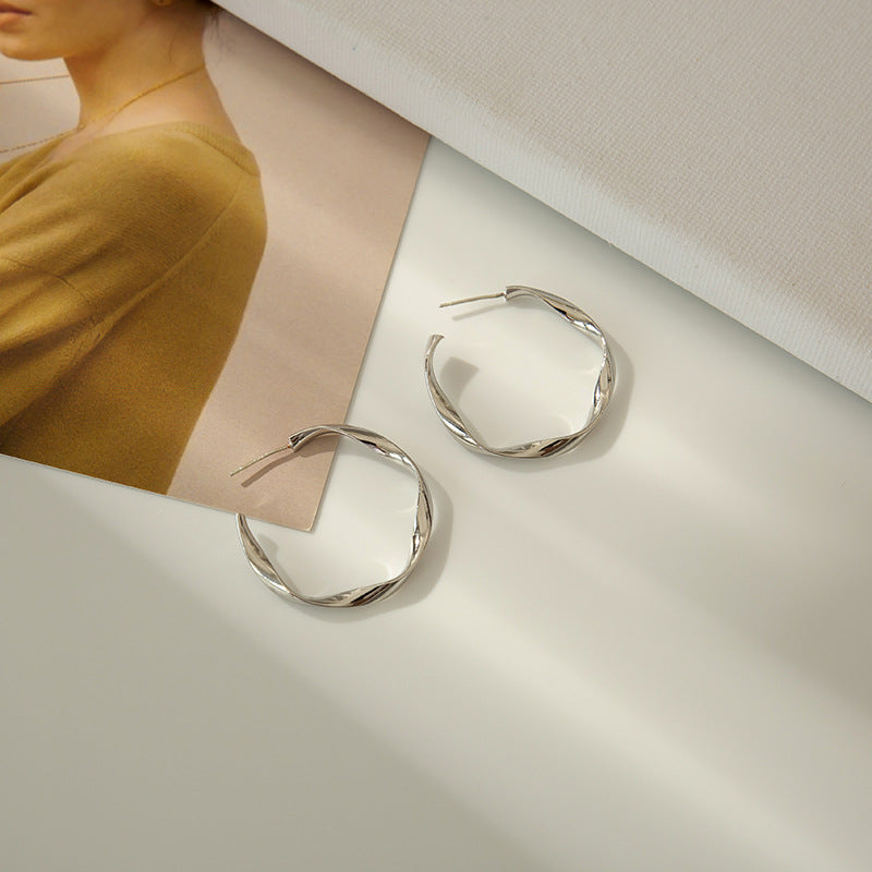Temperament Niche Ear Jewelry Light Luxury Earrings