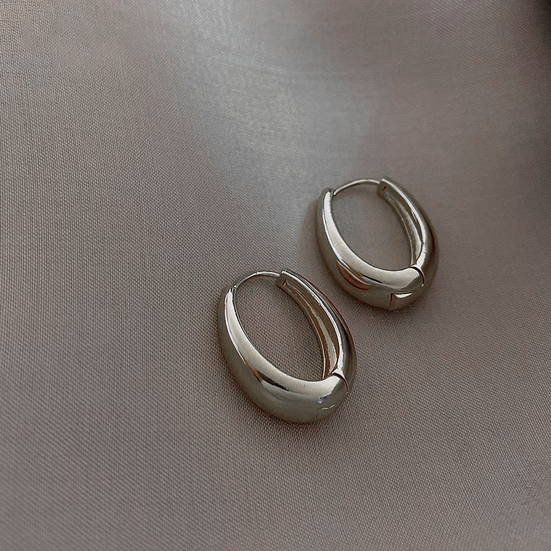 Temperament Niche Ear Jewelry Light Luxury Earrings