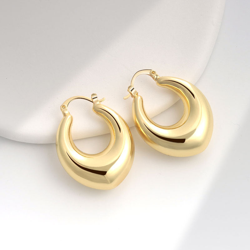 Geometric Metal Niche Design Frosty Style High Stud Earrings