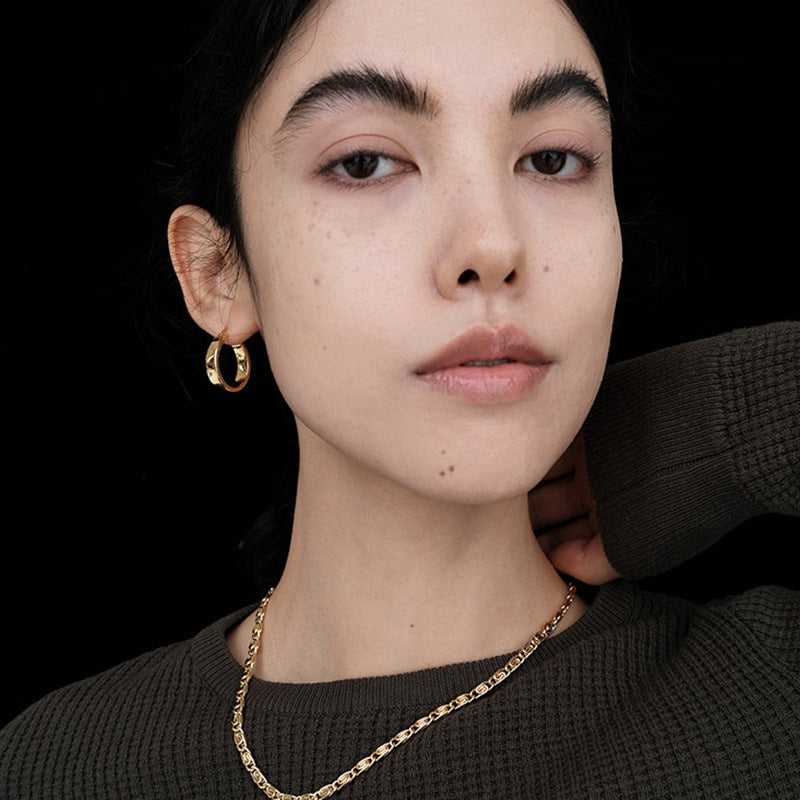 Women's Geometric Glossy For Light Luxury Minority Earrings