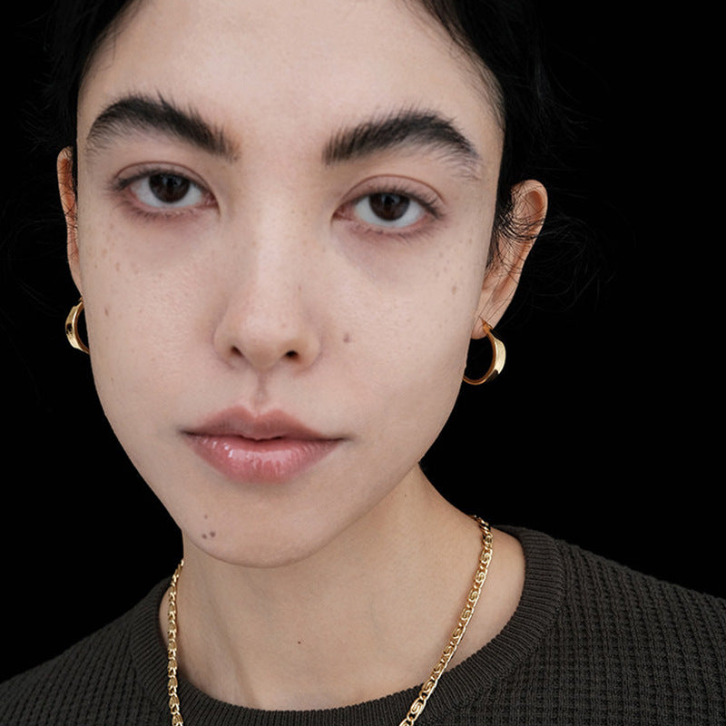 Women's Geometric Glossy For Light Luxury Minority Earrings