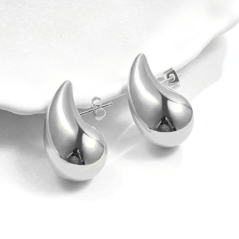 Geometric Metal Niche Design Frosty Style High Stud Earrings