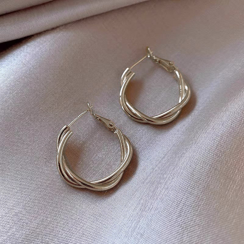 Temperament Niche Ear Jewelry Light Luxury Earrings