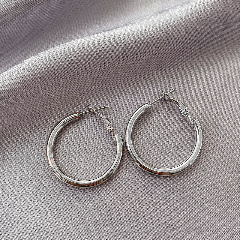 Temperament Niche Ear Jewelry Light Luxury Earrings