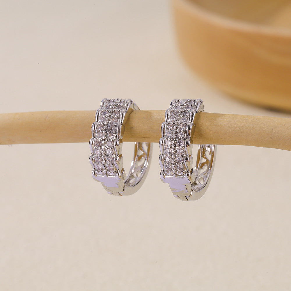 Women's Selection Fashionable Multi Zircon Inlaid Zirconium Earrings