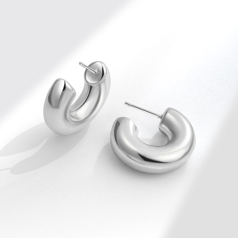 Geometric Metal Niche Design Frosty Style High Stud Earrings