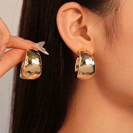 Shaped Steel Needle Graceful Personality High-grade Earrings