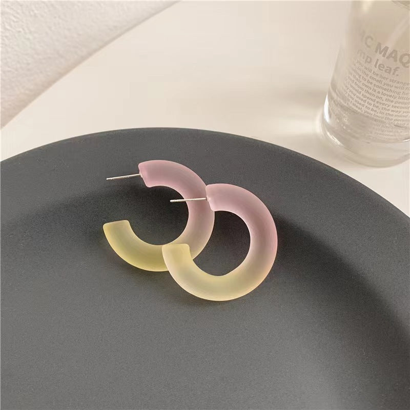 Chinese Style Summer Jelly Color Frosted Shaped Fluorescent Needle Refreshing Earrings