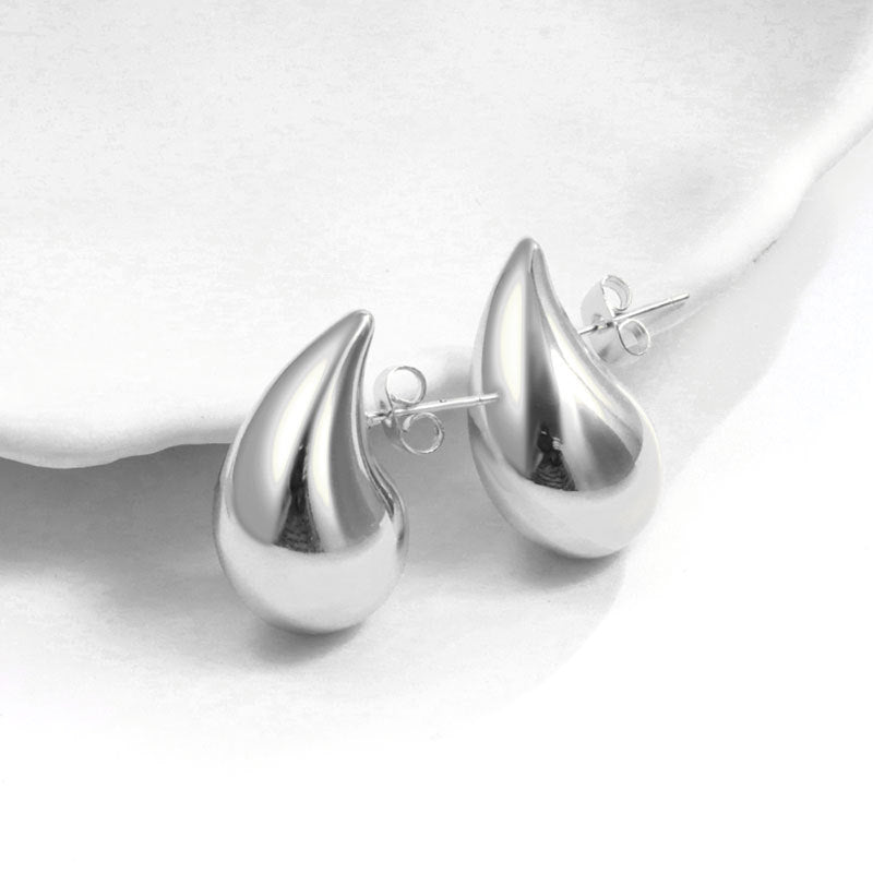 Geometric Metal Niche Design Frosty Style High Stud Earrings