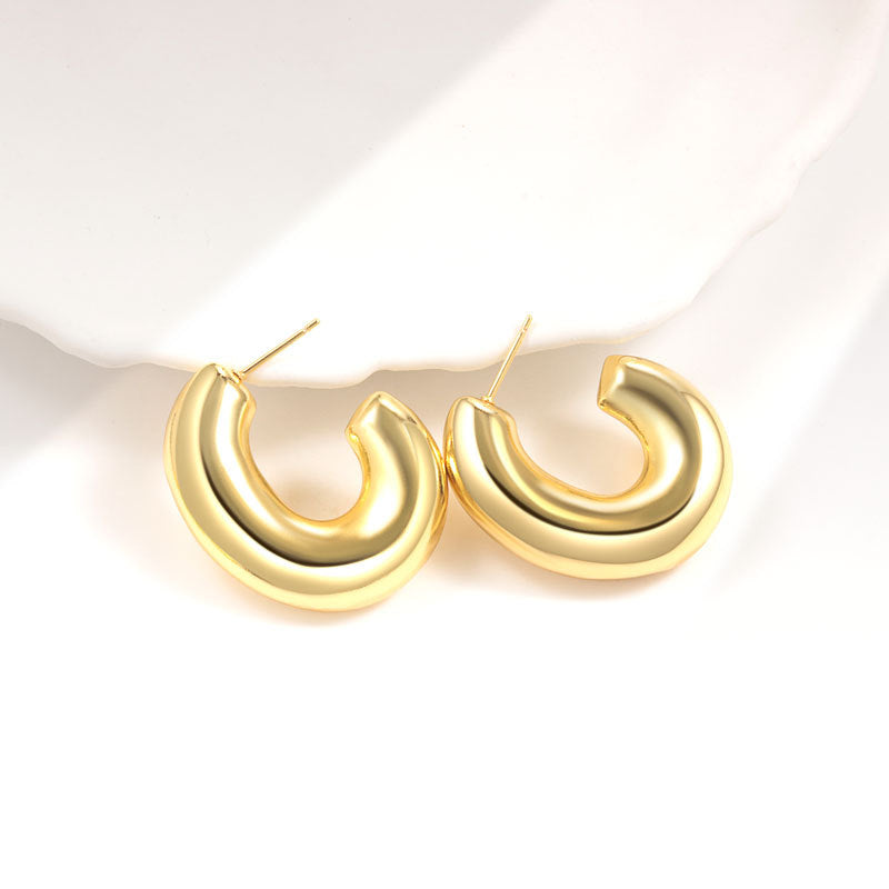 Geometric Metal Niche Design Frosty Style High Stud Earrings