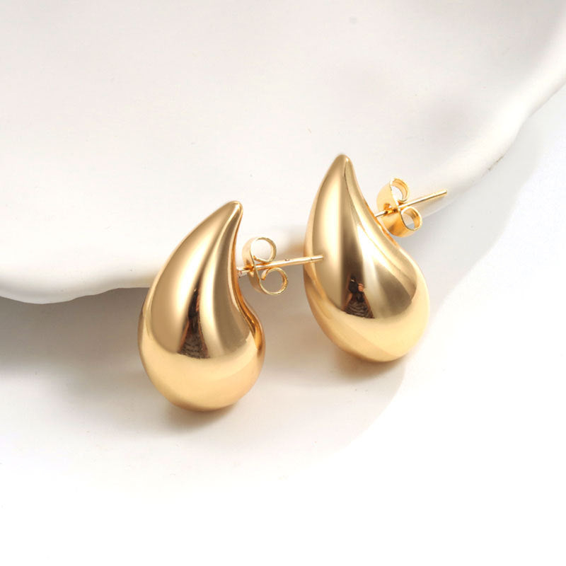 Geometric Metal Niche Design Frosty Style High Stud Earrings