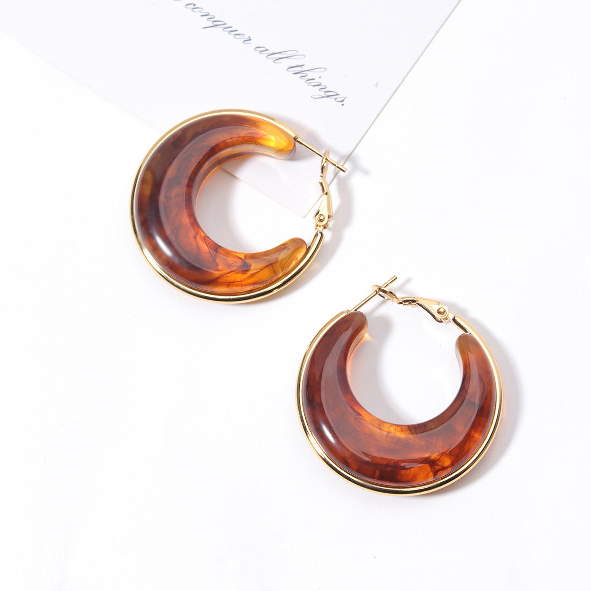 Gradient Color Retro Style Temperament Shaped Resin Eardrop Stainless Steel Earrings