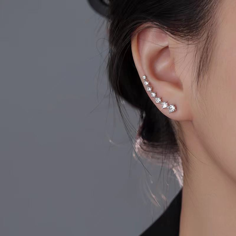 Women's Zircon Sier Needle Light Luxury Minority Design Sense Stud Earrings