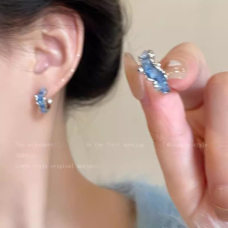 Needle High-grade Female Affordable Luxury Style Tassel Niche Temperamental Earrings