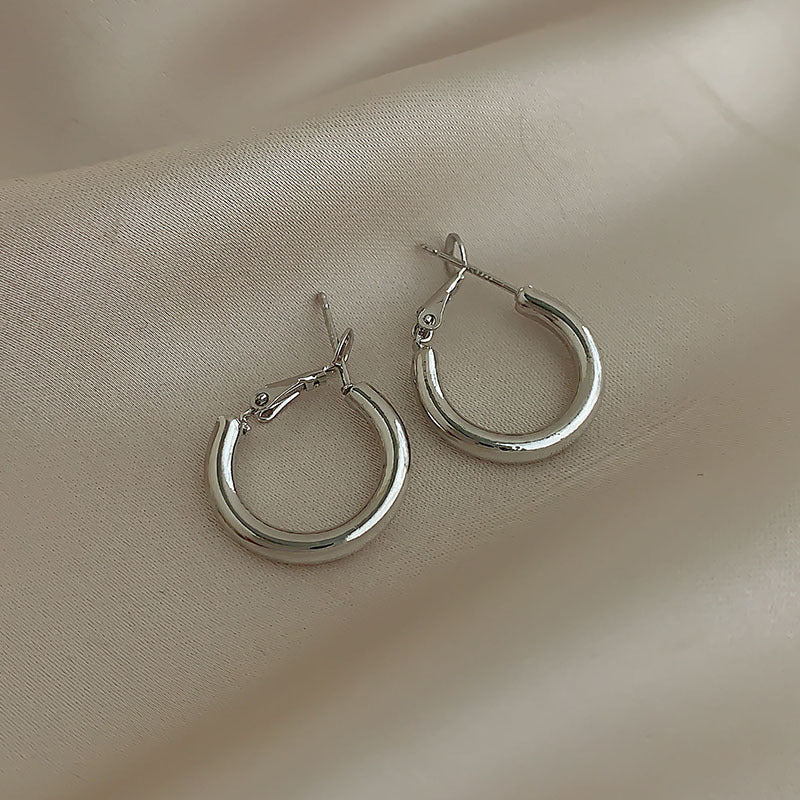 Temperament Niche Ear Jewelry Light Luxury Earrings