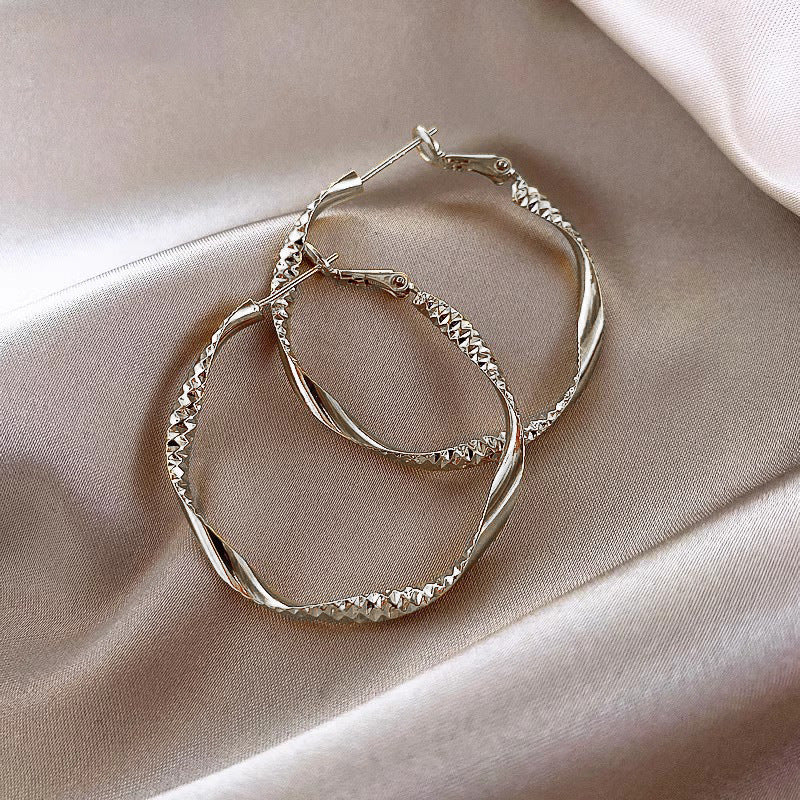 Temperament Niche Ear Jewelry Light Luxury Earrings
