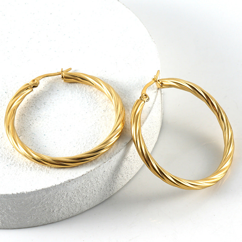 Women's Stainless Steel Twist Fashion Simple Titanium Earrings