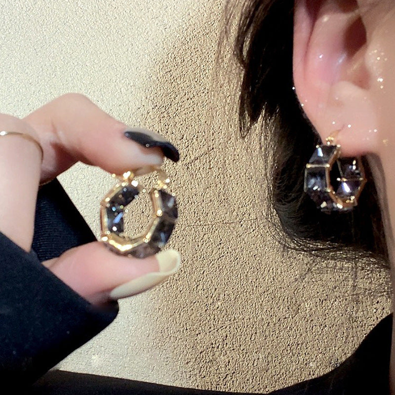 Needle High-grade Female Affordable Luxury Style Tassel Niche Temperamental Earrings