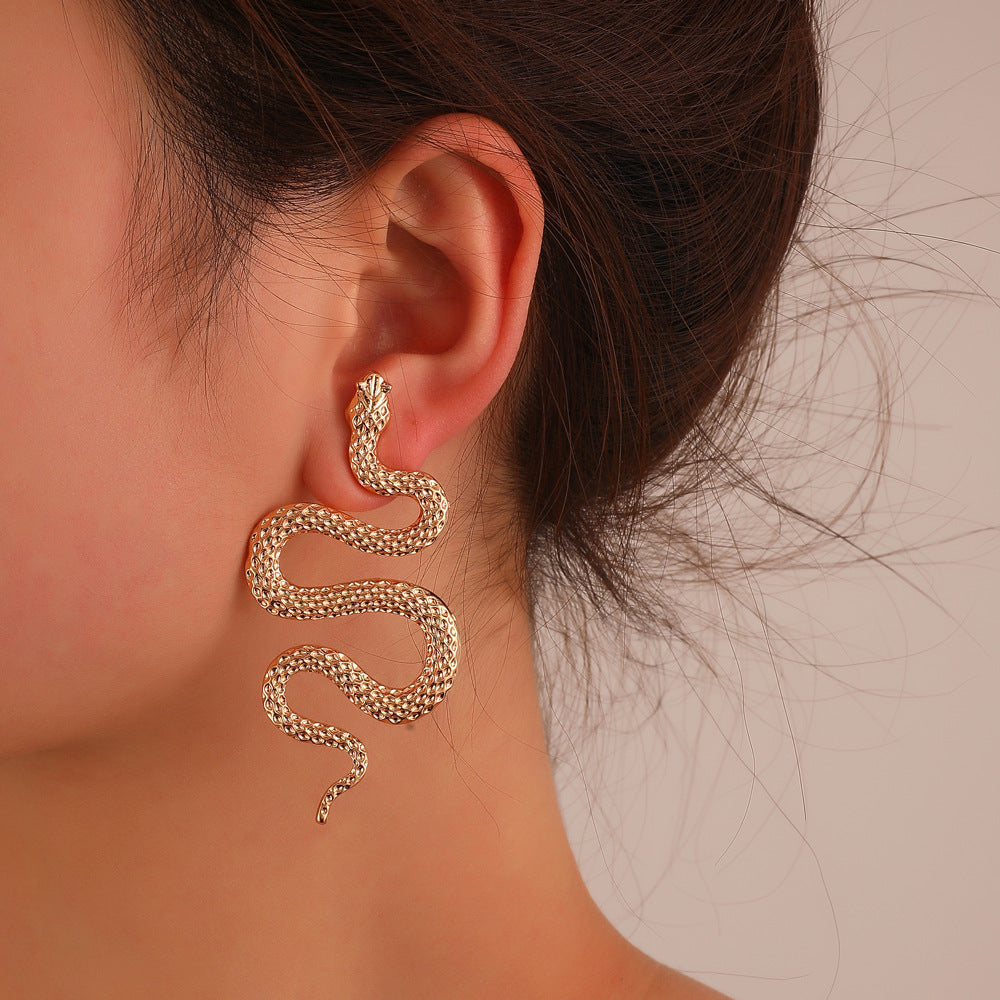 Unique Punk Style Snake Trendy Carved Snake-shaped Street Earrings