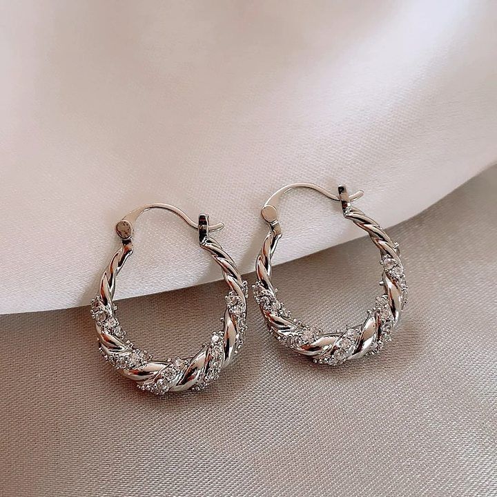 Temperament Niche Ear Jewelry Light Luxury Earrings