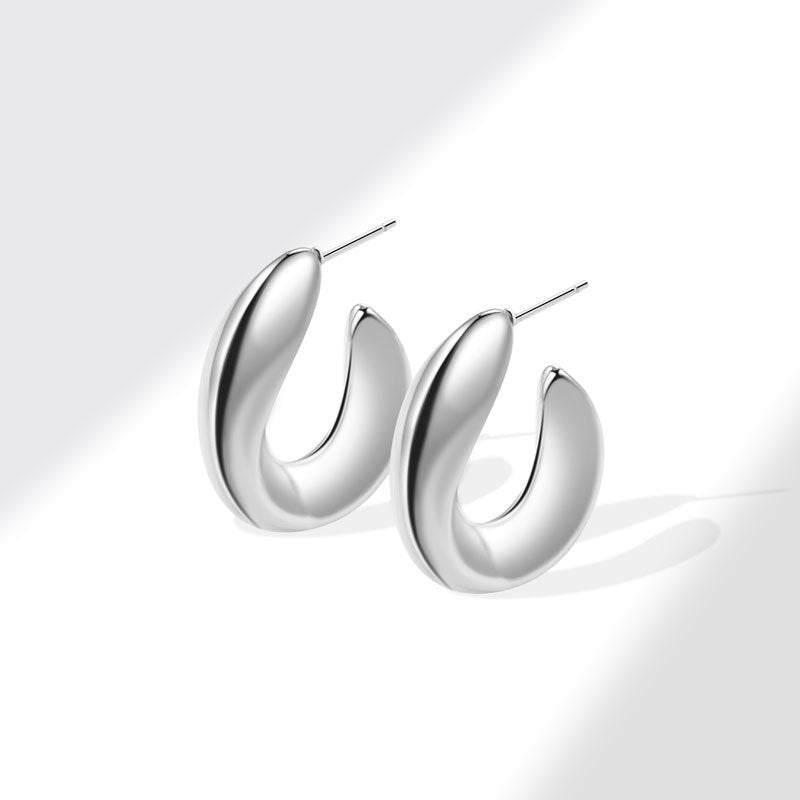 Geometric Metal Niche Design Frosty Style High Stud Earrings