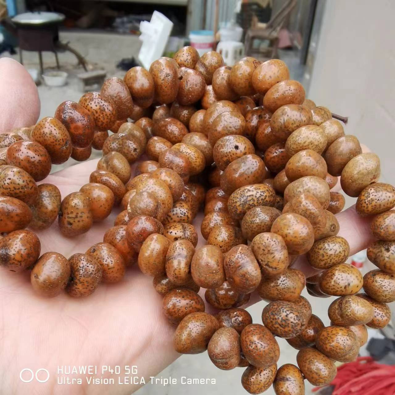 Ingot Bodhi Buddha Beads Raw Material Zen Seeds Bracelet