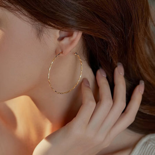 Big Circle Temperamental Minority Ear Mosquito Earrings