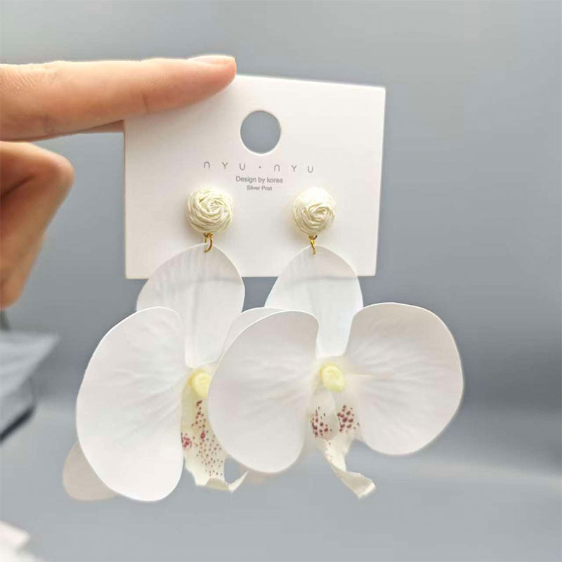 Women's Personalized Three-dimensional Phalaenopsis Flower Head Flowers Exaggerated High Sense Stud Earrings