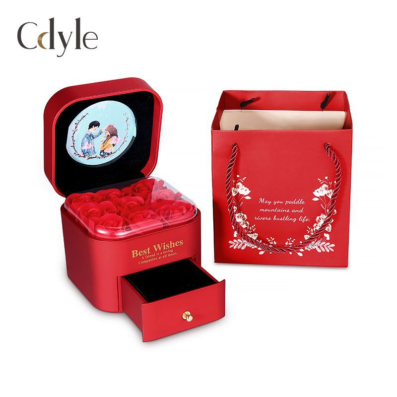 Cool Box Packaging Personalized Gift Bag Earrings