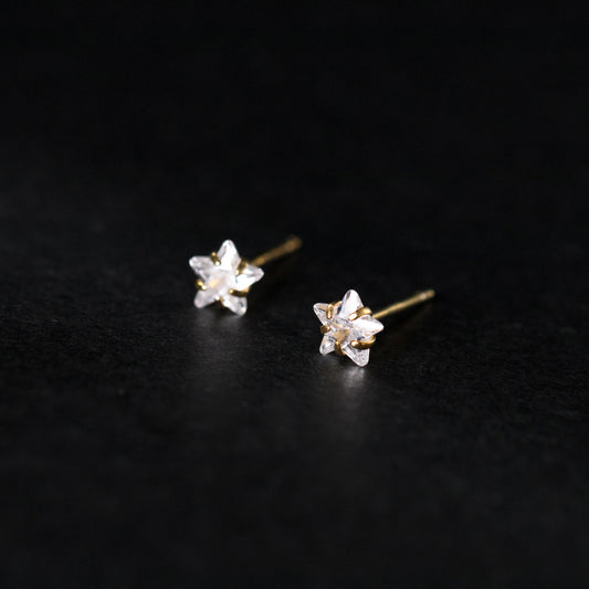 Sier Fresh Star Ear Before Sleep Earrings