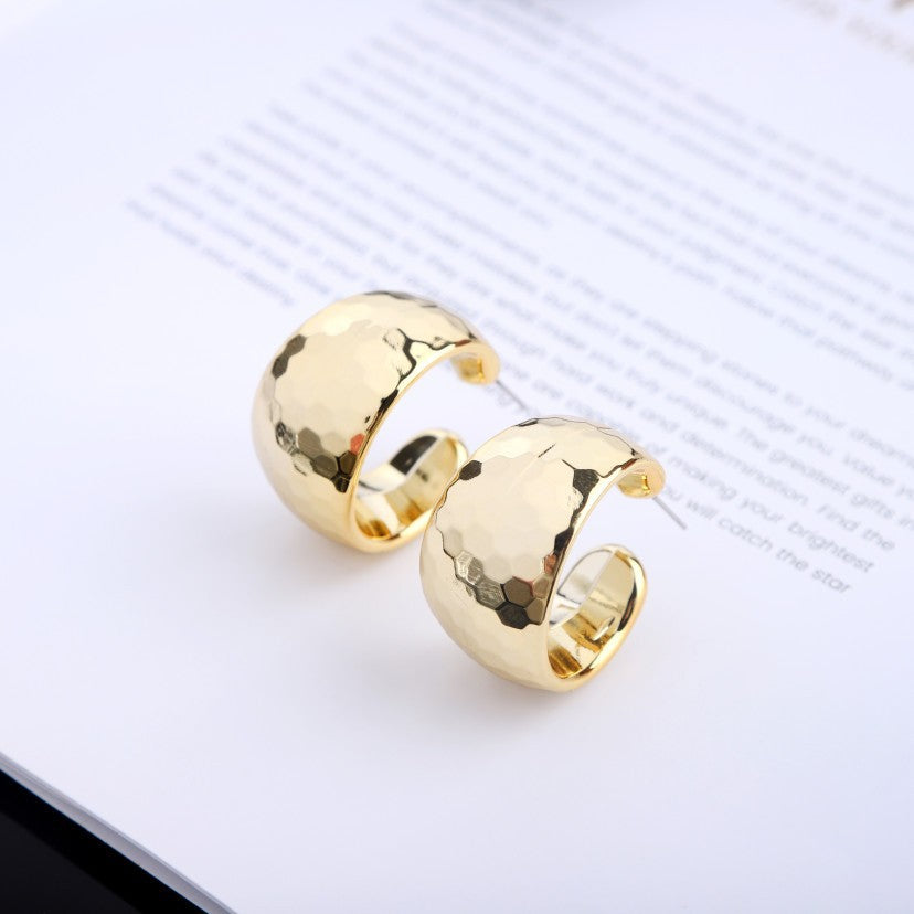 Shaped Steel Needle Graceful Personality High-grade Earrings