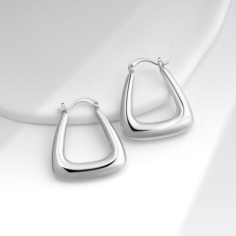 Geometric Metal Niche Design Frosty Style High Stud Earrings