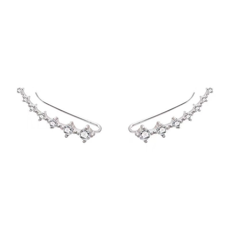 Women's Zircon Sier Needle Light Luxury Minority Design Sense Stud Earrings