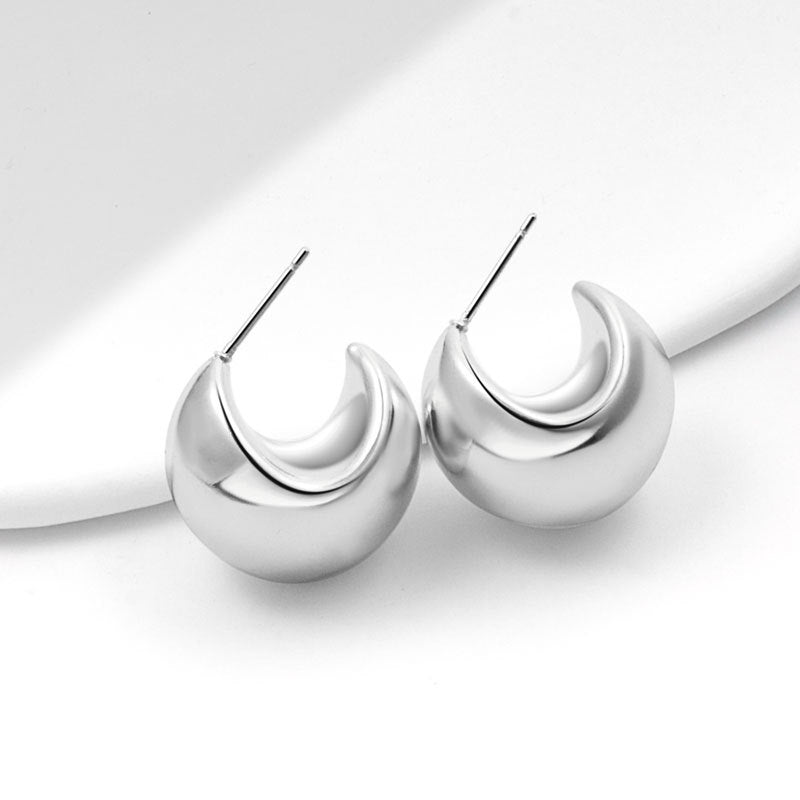 Geometric Metal Niche Design Frosty Style High Stud Earrings