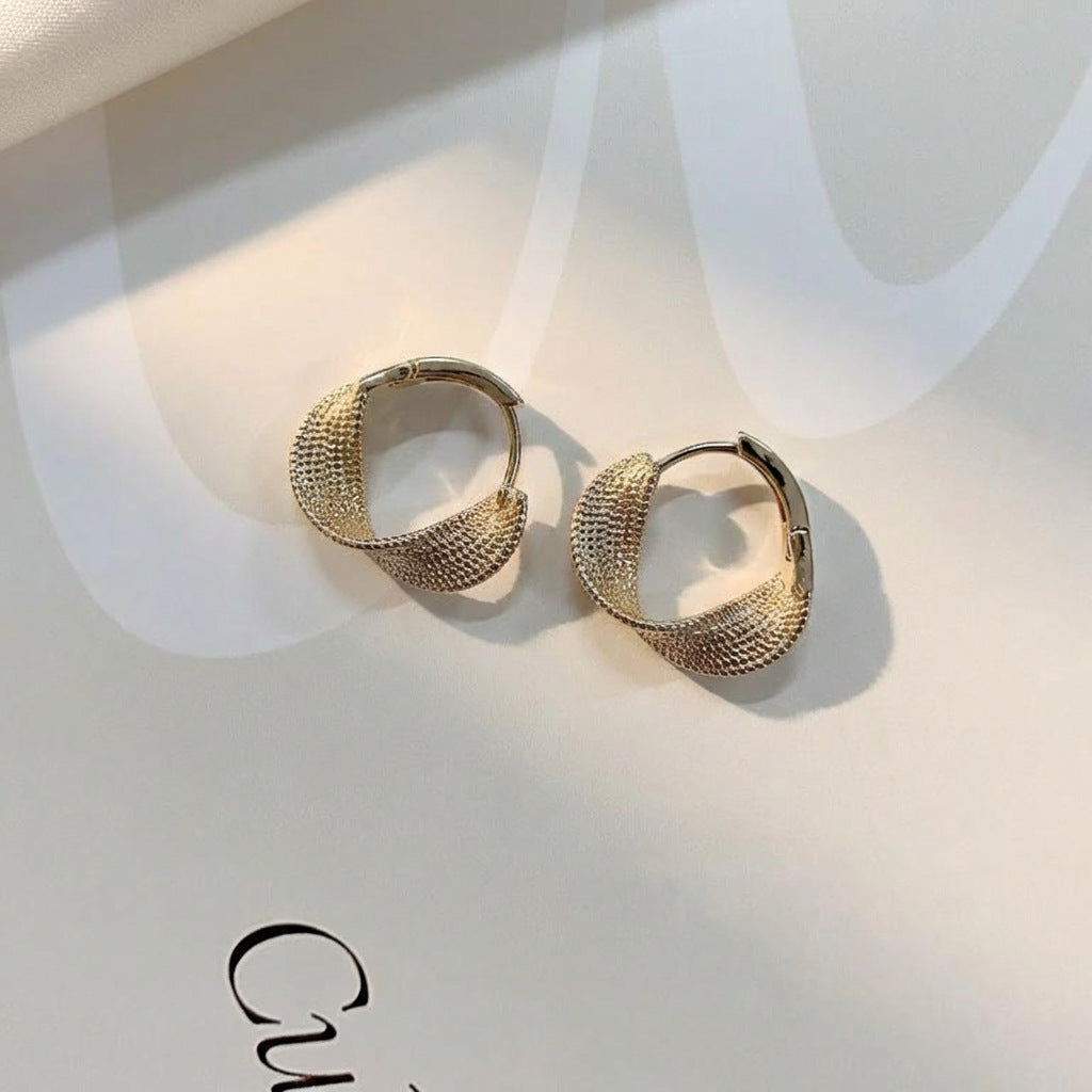 Women's Sterling Sier Light Luxury Minority Design Earrings