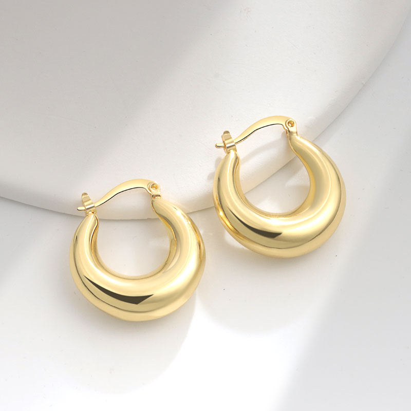 Geometric Metal Niche Design Frosty Style High Stud Earrings