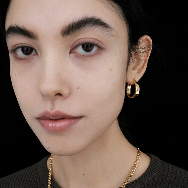 Women's Geometric Glossy For Light Luxury Minority Earrings