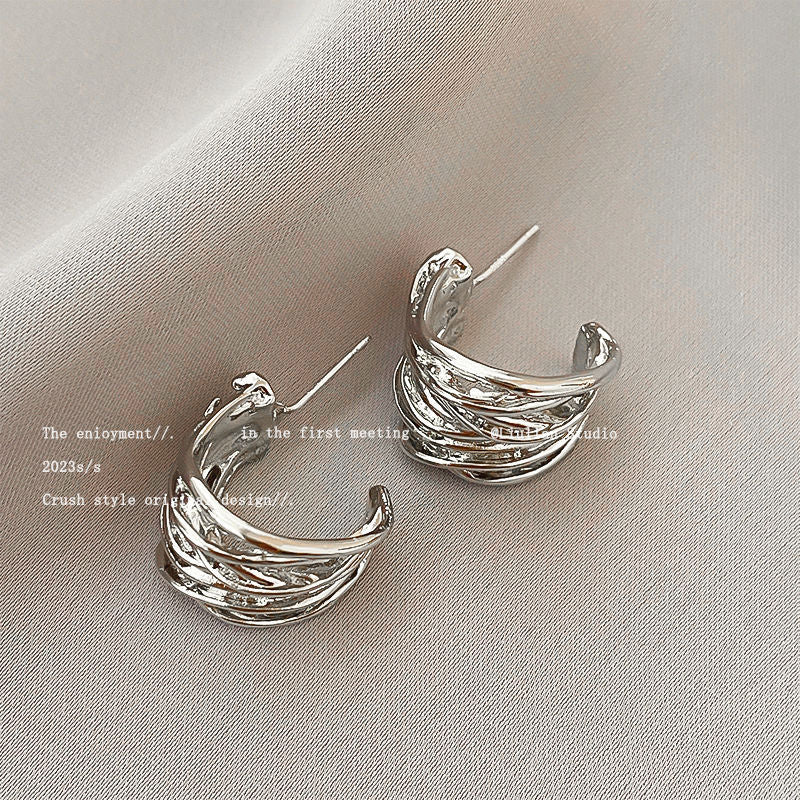 Temperament Niche Ear Jewelry Light Luxury Earrings