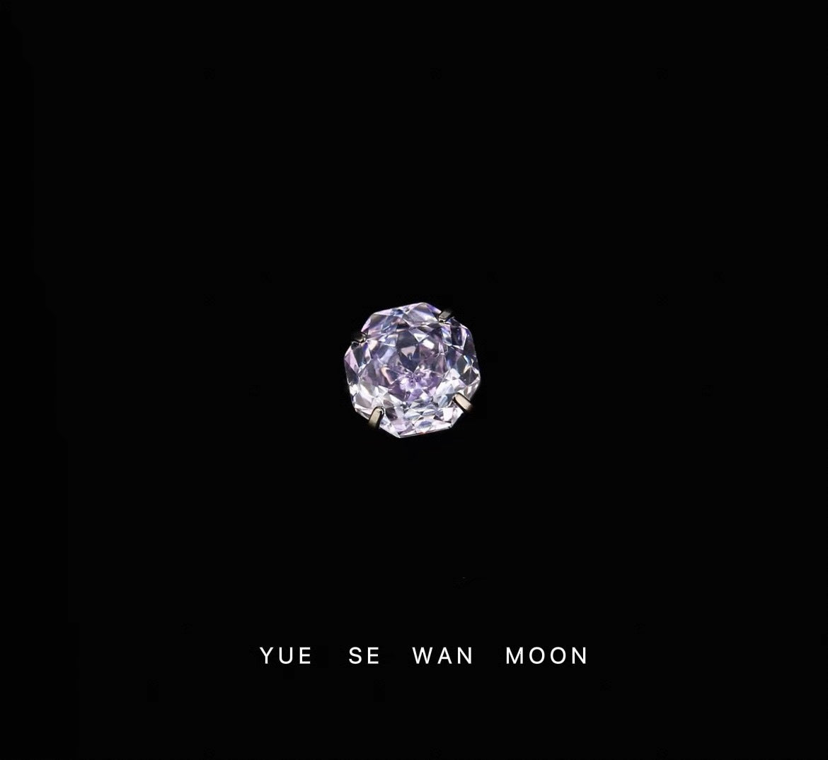 Zircon Flash Sandwich Cut Titanium Steel Ear Bone Exquisite Stud Earrings