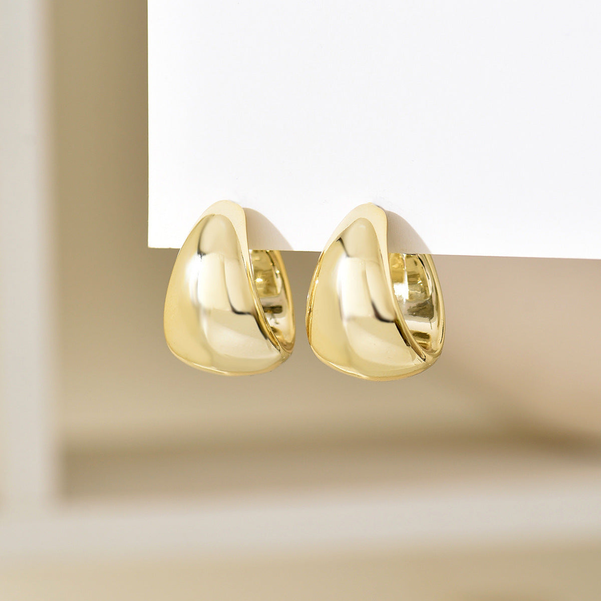 Women's High-grade Seaside Vacation Style Geometric Exaggerated Earrings