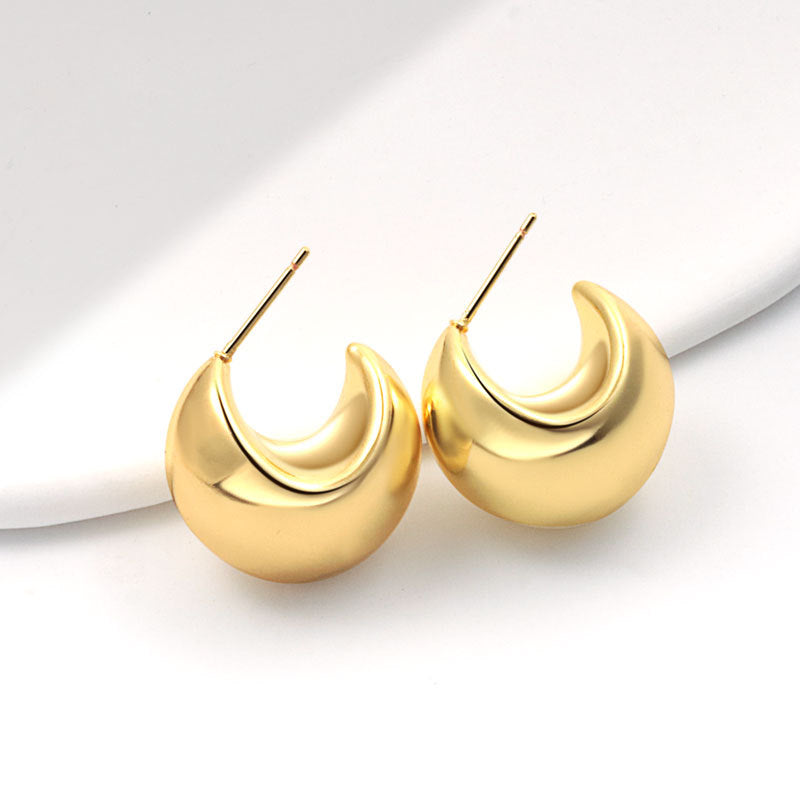 Geometric Metal Niche Design Frosty Style High Stud Earrings