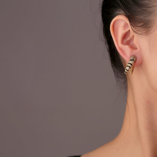 Personalized Horn Exquisite Elegant Special Interest Earrings