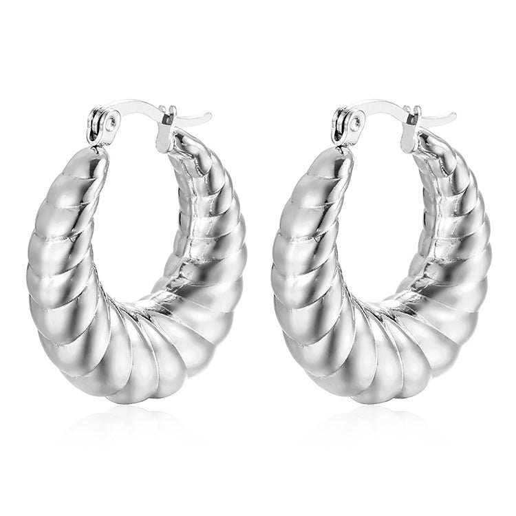 Women's & Men's Design Sense Niche Unique Style Trendy Essential Stainless Earrings