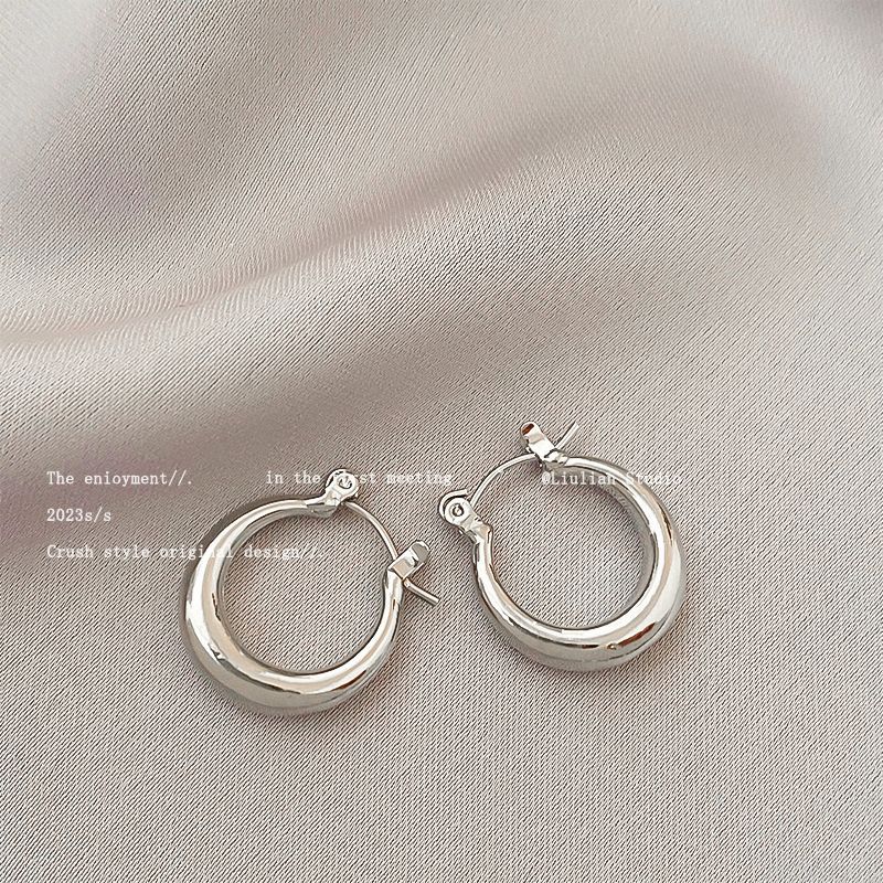 Temperament Niche Ear Jewelry Light Luxury Earrings