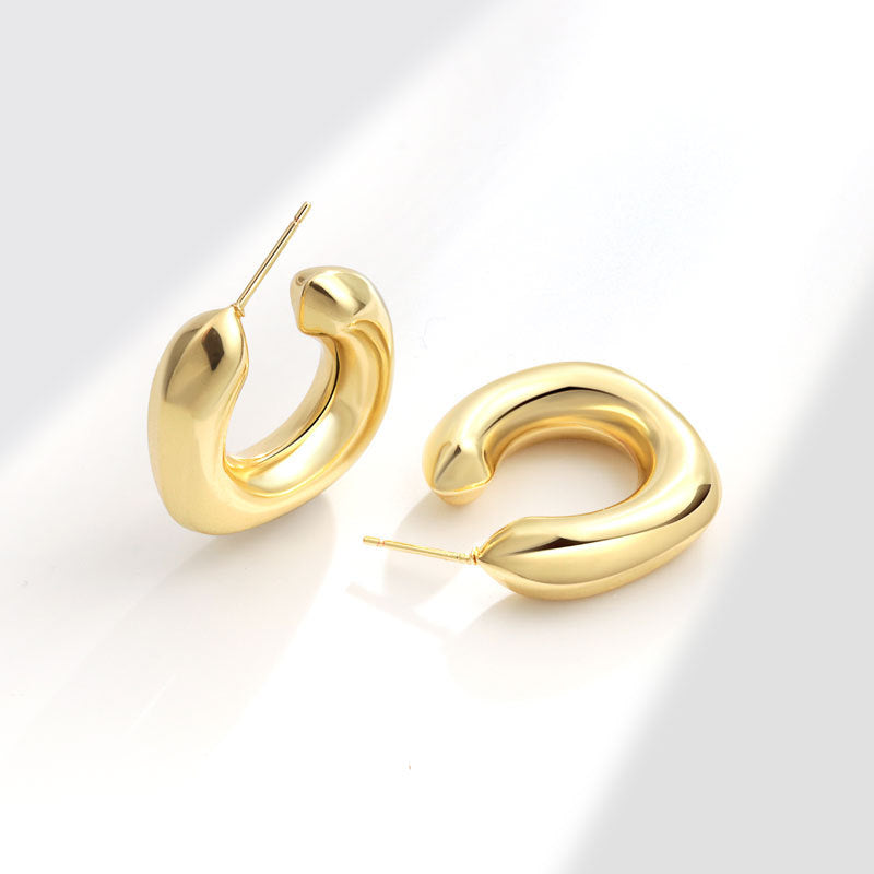 Geometric Metal Niche Design Frosty Style High Stud Earrings