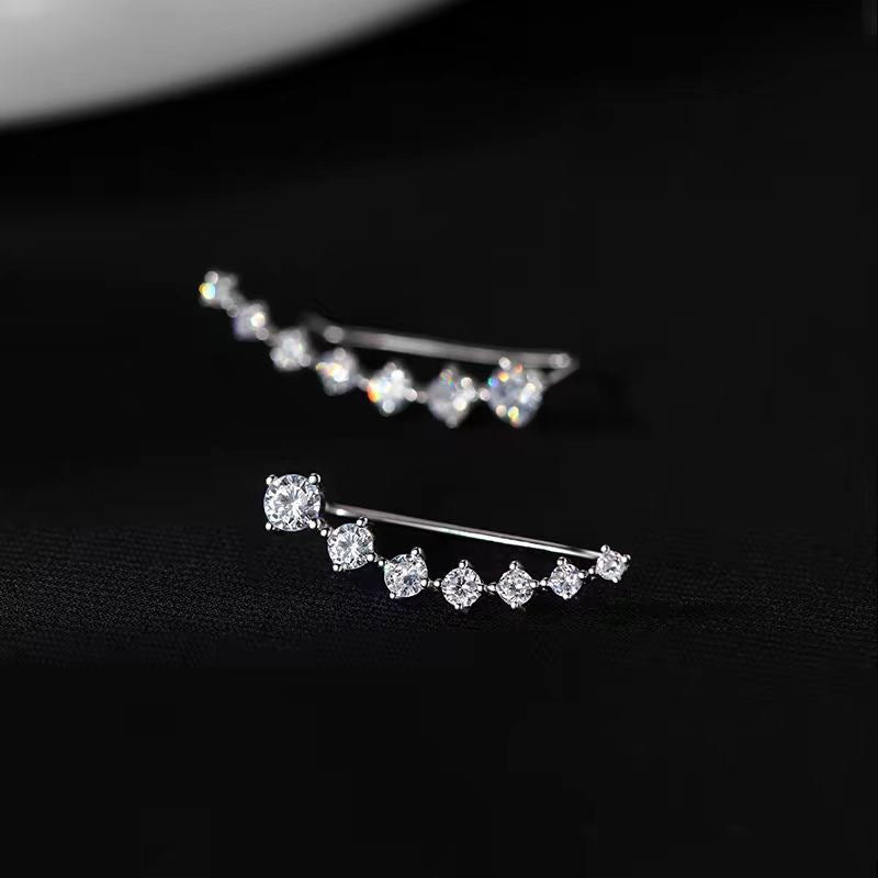 Women's Zircon Sier Needle Light Luxury Minority Design Sense Stud Earrings