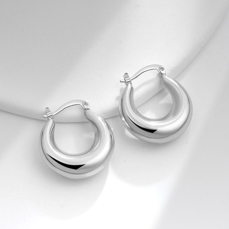 Geometric Metal Niche Design Frosty Style High Stud Earrings